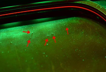 Water stain on the container