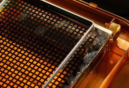 Under collimated 4000K white light